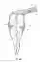 Fig. 14 - Apparatus and methods for cleaning teeth and root canals