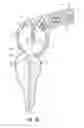 Fig. 15 - Apparatus and methods for cleaning teeth and root canals