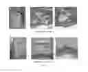 Fig. 10 - SILK FIBROIN HYDROGELS AND USES THEREOF