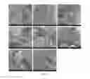 Fig. 14 - SILK FIBROIN HYDROGELS AND USES THEREOF