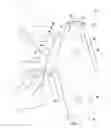 Fig. 09 - Inverse bellow prosthesis insertion device