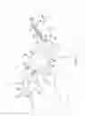 Fig. 11 - Inverse bellow prosthesis insertion device