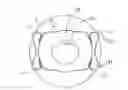 Fig. 01 - Intraocular lens