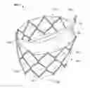 Fig. 01 - Bi-Leaflet Mitral Valve Design