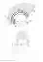 Fig. 03 - RESILIENT INTERPOSITIONAL HIP ARTHROPLASTY DEVICE