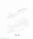 Fig. 23 - EXPANDABLE INTERBODY IMPLANT
