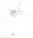 Fig. 30 - System for treating proximal humeral fractures and method of using the same