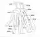 Fig. 01 - Stents having barbs protected during delivery