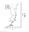 Fig. 04 - Stents having controlled elution