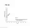 Fig. 26 - Stents having controlled elution