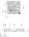 Fig. 21 - Intragastric device for treating obesity