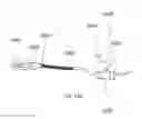 Fig. 57 - Intragastric device for treating obesity