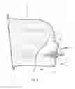 Fig. 06 - HEAD AND JAW IMMOBILIZATION DEVICE