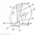 Fig. 01 - Facial Bands