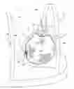 Fig. 01 - Thermal device for treating breastfeeding conditions