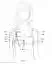 Fig. 02 - Thermal device for treating breastfeeding conditions