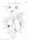 Fig. 04 - Thermal device for treating breastfeeding conditions