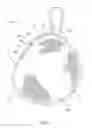 Fig. 06 - Thermal device for treating breastfeeding conditions