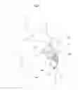 Fig. 08 - Pressure bandage
