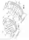 Fig. 05 - Infant Support Device