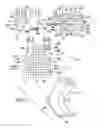 Fig. 02 - Massage Device