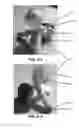 Fig. 22 - Flushing system for a safety system