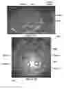 Fig. 33 - Flushing system for a safety system