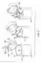 Fig. 04 - Medication dispensing assembly