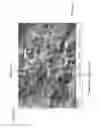 Fig. 12 - Nanocrystalline zirconia and methods of processing thereof