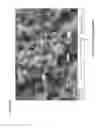 Fig. 13 - Nanocrystalline zirconia and methods of processing thereof