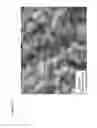 Fig. 14 - Nanocrystalline zirconia and methods of processing thereof