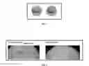 Fig. 02 - Cosmetic compositions