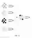 Fig. 07 - METHOD AND PROCESS FOR THE PRODUCTION OF MULTI-COATED RECOGNITIVE AND RELEASING SYSTEMS