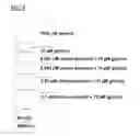 Fig. 10 - METHODS OF USING PROPOFOL DERIVATIVES FOR ANALGESIA
