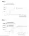 Fig. 11 - METHODS OF USING PROPOFOL DERIVATIVES FOR ANALGESIA