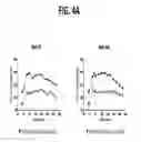 Fig. 05 - Compositions and methods for treating metabolic disorders