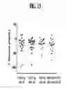 Fig. 17 - Compositions and methods for treating metabolic disorders