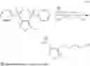 Fig. 15 - Vector delivery-based microbicides