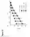 Fig. 27 - MODULATION OF MITOCHONDRIAL CALCIUM UNIPORTER ACTIVITY FOR TREATING AND PREVENTING ARRHYTHMIAS