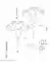 Fig. 10 - TARGETED POLYMERIC CONJUGATES AND USES THEREOF