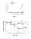 Fig. 13 - TARGETED POLYMERIC CONJUGATES AND USES THEREOF