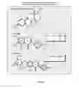 Fig. 02 - COMPOSITION, FORMULATIONS AND METHODS OF MAKING AND USING BOTANICALS AND NATURAL COMPOUNDS FOR THE PROMOTION OF HEALTHY BRAIN AGING