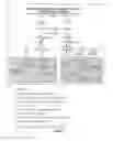 Fig. 08 - COMPOSITION, FORMULATIONS AND METHODS OF MAKING AND USING BOTANICALS AND NATURAL COMPOUNDS FOR THE PROMOTION OF HEALTHY BRAIN AGING