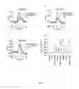 Fig. 06 - Compounds as modulators of a mutant CFTR protein and their use for treating diseases associated with CFTR protein malfunction
