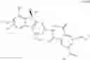 Fig. 11 - Compounds as modulators of a mutant CFTR protein and their use for treating diseases associated with CFTR protein malfunction