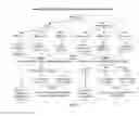 Fig. 12 - Method of determining acute myeloid leukemia response to treatment with farnesyltransferase inhibitors