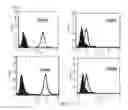 Fig. 02 - Composition for treatment of joint disease and method thereof