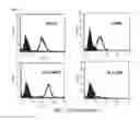 Fig. 03 - Composition for treatment of joint disease and method thereof