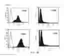 Fig. 04 - Composition for treatment of joint disease and method thereof