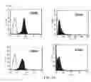 Fig. 06 - Composition for treatment of joint disease and method thereof